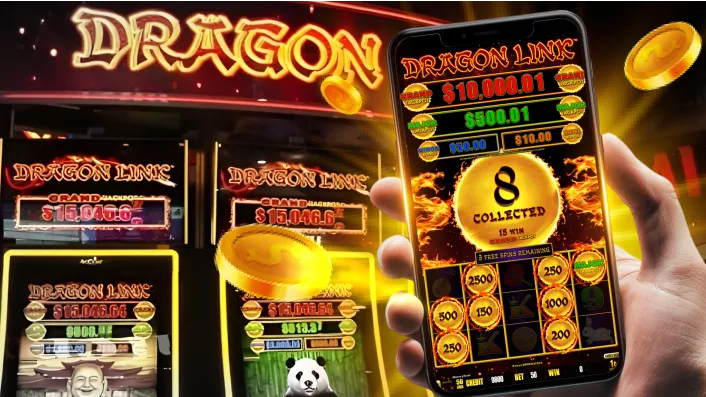 Jili77 Lucky Calico Live Casino